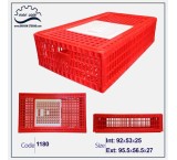 قفس مرغ زنده، قفس پلاستیکی عراقی، قفس پلاستیکی صادراتی