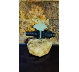 شیر 16به تیپ