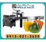 Capsicum packing machine; A smart step to maintain freshness and increase the profits of producers