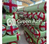 تولید و صادرات نایلون عریض سبز یووی