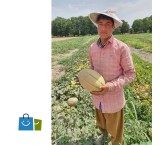 بذر ملون جانا نانهمز اوریجین چین