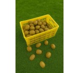 سبد کیوی سبد 20 کیلویی سبد سورتینگ میوه سبد مرکبات