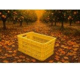 سبد 20کیلویی میوه و مرکبات  سبد پرتقال