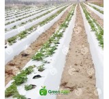 تولید و صادرات مالچ ضد علف هرز مخصوص تاکستان