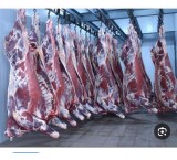 فروش گوشت گرم و منجمد عمده برای کارخانجات تولیدی سوسیس و کالباس