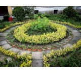 خدمات باغبانی در لواسان