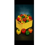 سبد 40 کیلویی درجه یک و درجه 2 سبد سورتینگ سبد فلفل