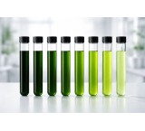 Sale of Natural Liquid Chlorophyll Food Coloring Brand (SENSIENT)