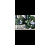 تور ماهیگیری و طناب و نخ مروارید نت