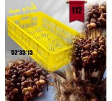 سبد رطب ؛سبد خرما ؛سبد بسته بندی خرما