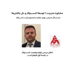 مشاوره مدیریت / توسعه کسب‌وکار و حل چالش‌ها
