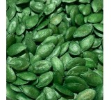 JR600 Hybrid Pumpkin Seed