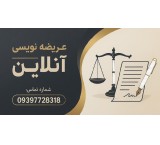 Online Petition Writing