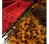Date Basket; Date Carrying Box; Shrimp Basket