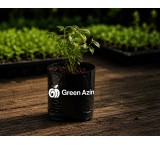 Export of Seedling Bags at Competitive Prices
