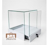 Museum Display Case