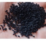 Premium Laser Black Seed