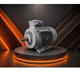Buy Electric Motor at Factory List Price and Eliminate Intermediaries