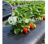 تولید و صادرات گروبگ پرفراژ مخصوص گوجه فرنگی