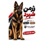 سگ ژرمن شپرد