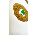 American Ranger Alfalfa Seeds
