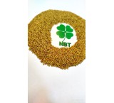 Maopa Seed