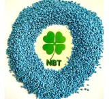 Types of Coated Seeds (Coated) for Cold and Temperate Climates