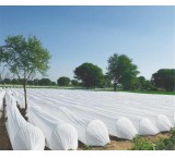 Tomato Frost Protection Cover