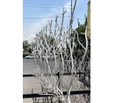 تولید حفاظ شاخ گوزنی و حفاظ آهنی در تبریز