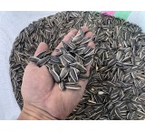 S 400 Raw Sunflower Seeds