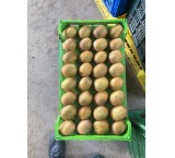 کیوی هایواردصادراتی.تناژبالا