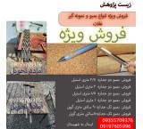 فروش بمبو گونی