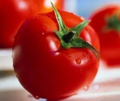 رب گوجه فرنگی آیدا