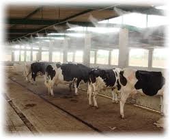 مه پاش و باران مصنوعی