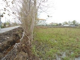 Land area (104) acres with the document