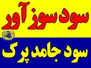 سود سوزآور، Caustic Soda