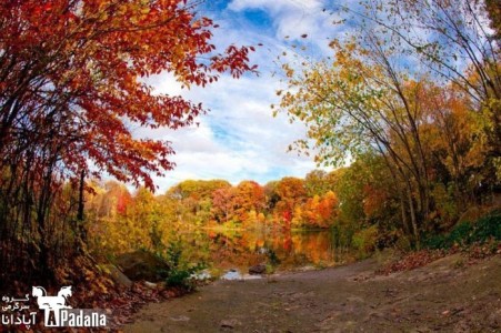 واگذاری مجوز آژانس هواپیمایی بند ب