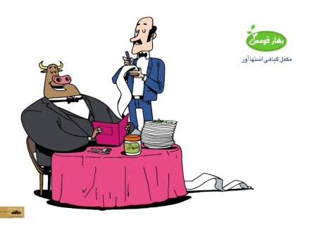 Supplement stimulant, plant growth, livestock and poultry