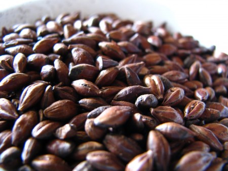 All kinds of grain, barley malt, wheat, and products they