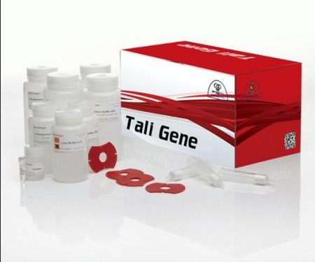 Kit DNA extraction Tali gene