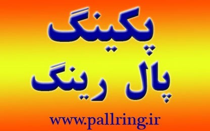 Packing Pall ring
