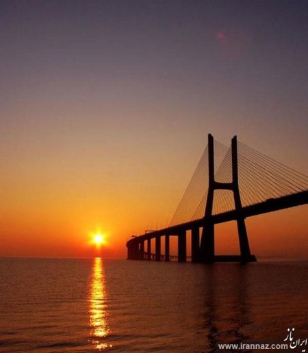 واردات وصادرات وترخیص كاری