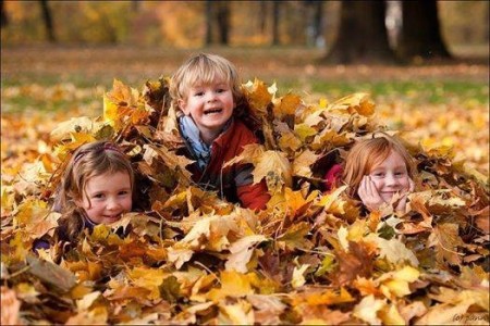 Provide translation services