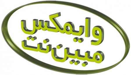 WiMAX represents net globe