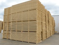 واردات و فروش انواع غلات انسانی و دامی و چوب نراد روسی سایزهای مصرفی ایران و عراق