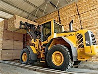 واردات و فروش انواع غلات انسانی و دامی و چوب نراد روسی سایزهای مصرفی ایران و عراق