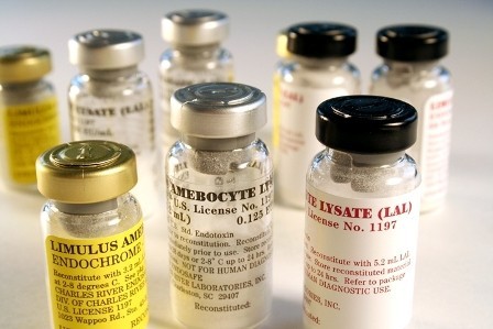 The kit assay endotoxin method gel chelate of the company ایندوسیف and لونزا usکیت سنجش اندوتوکسین ب ...