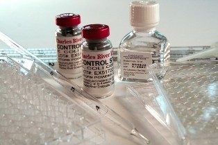 The kit assay endotoxin method gel chelate of the company ایندوسیف and لونزا usکیت سنجش اندوتوکسین ب ...