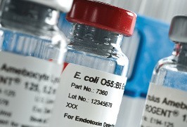 The kit assay endotoxin method gel chelate of the company ایندوسیف and لونزا usکیت سنجش اندوتوکسین ب ...