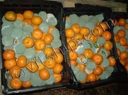 Zakian Surveyors &amp;amp; Loss Adjusters L.L.C  Worldwide